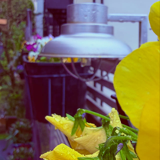 chacoさんの部屋