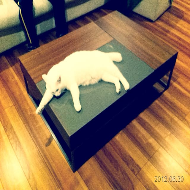 mameさんの実例写真