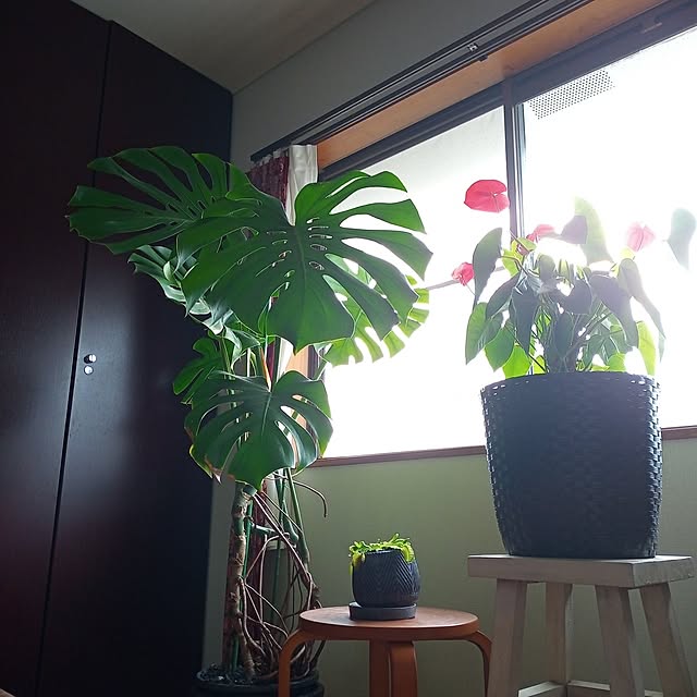 brooklynさんの実例写真