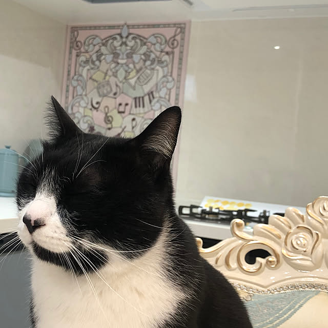 Fujikoさんの部屋