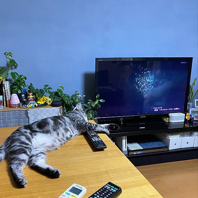 yuzuaoさんの実例写真