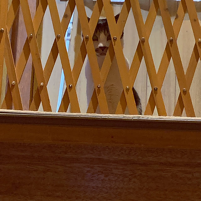 haruさんの実例写真