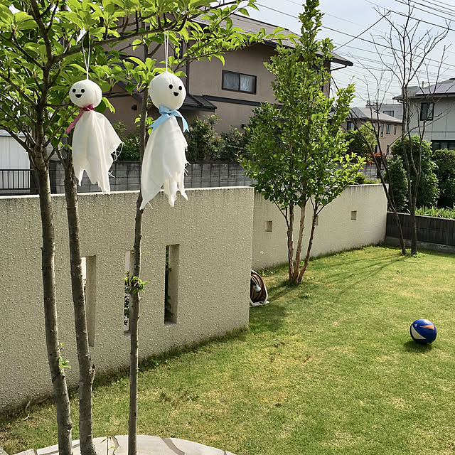 temariさんの実例写真