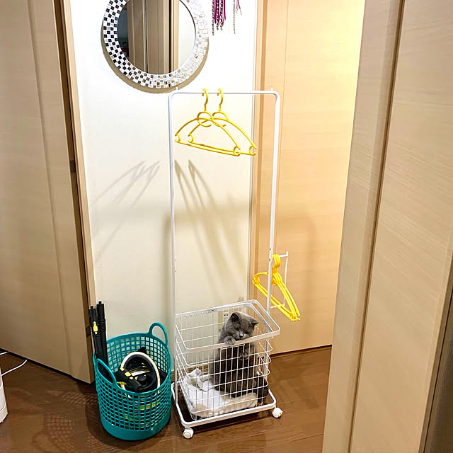 kittyさんの実例写真