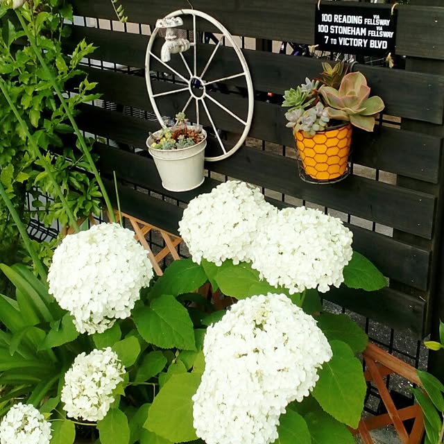 VERANDARJUNさんの実例写真
