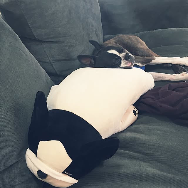 pontaさんの実例写真