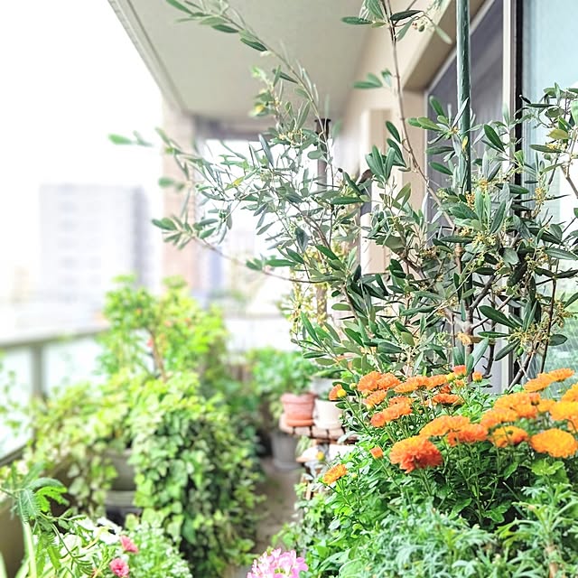 YuriYuriさんの部屋