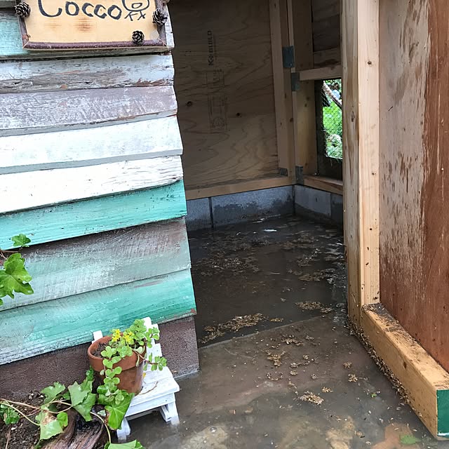 pepeさんの実例写真