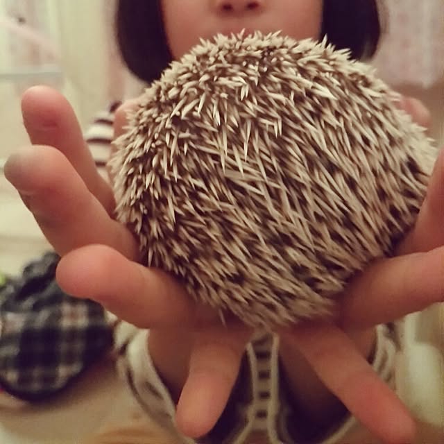 kuruさんの実例写真
