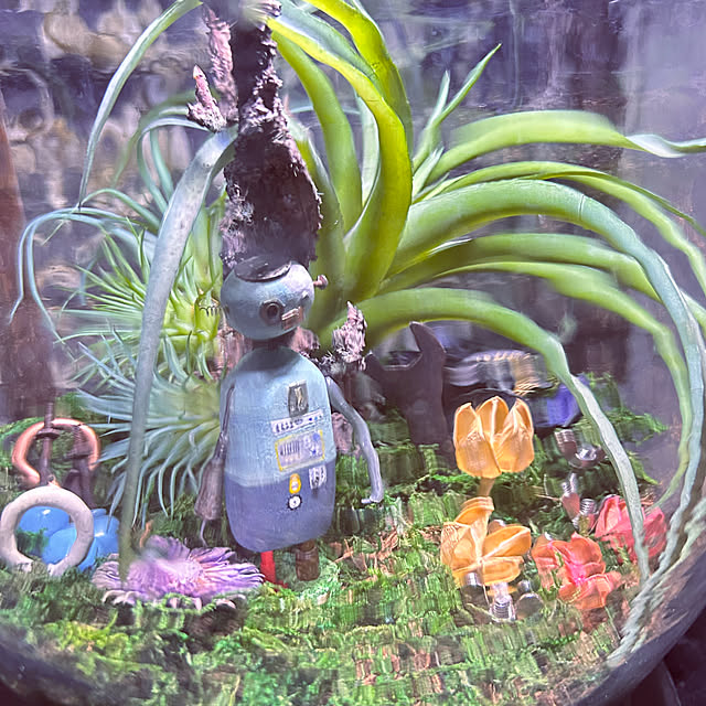 akaidarumaさんの実例写真