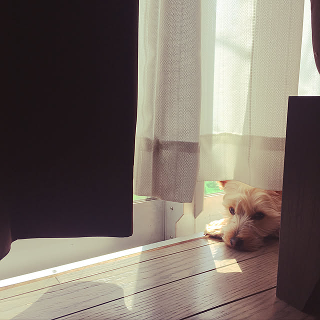 umeさんの実例写真