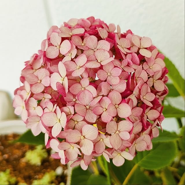 VERANDARJUNさんの実例写真