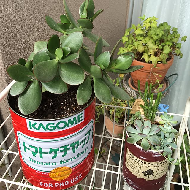 ram_mamaさんの実例写真