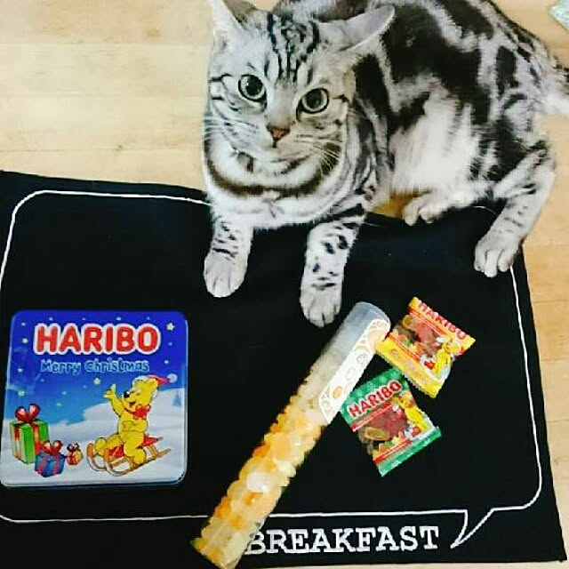 CatClipさんの実例写真