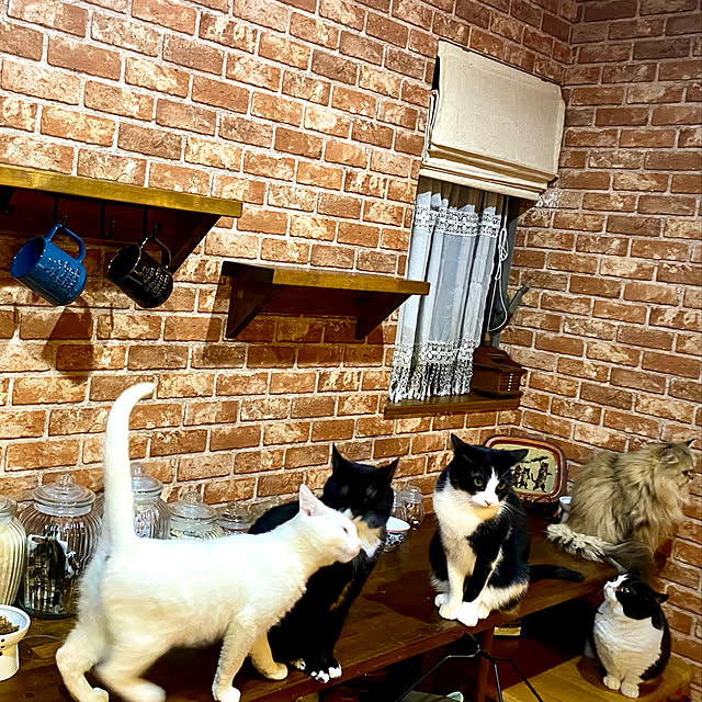 butachanさんの実例写真
