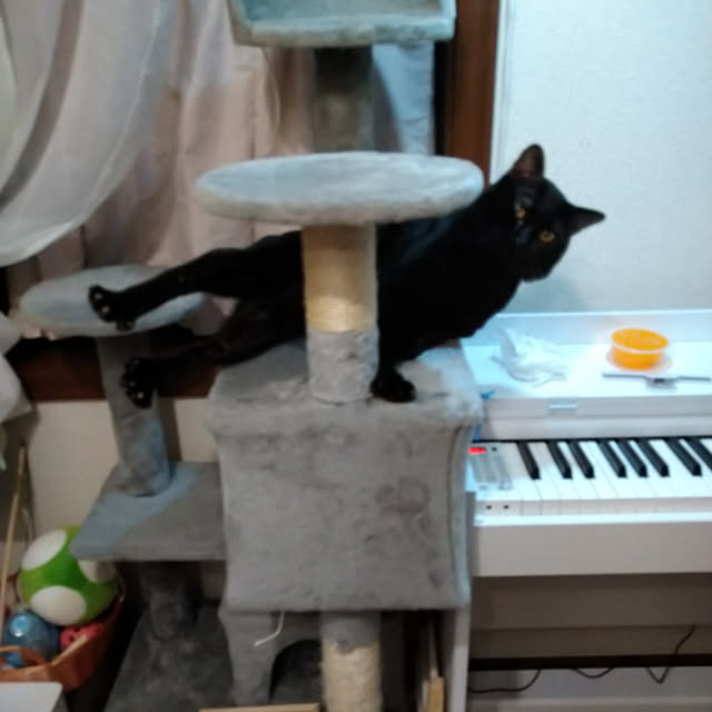 Tさんの実例写真