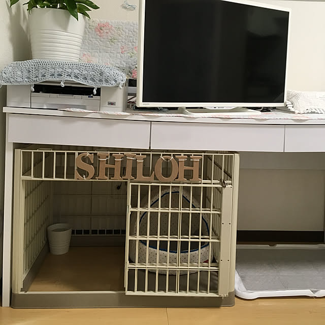 fionaさんの実例写真