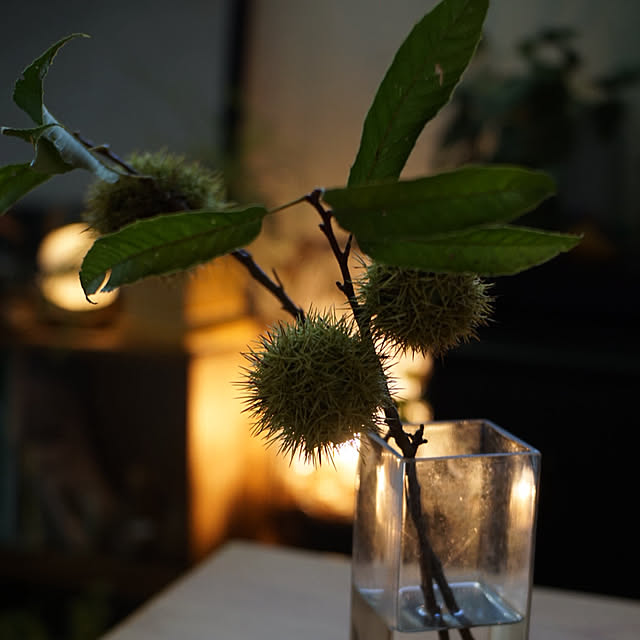 riri1989さんの部屋