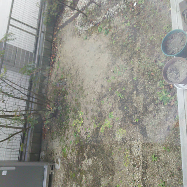 rierieさんの実例写真
