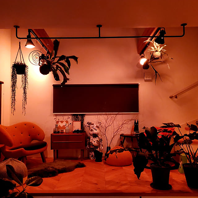 chandong777さんの実例写真