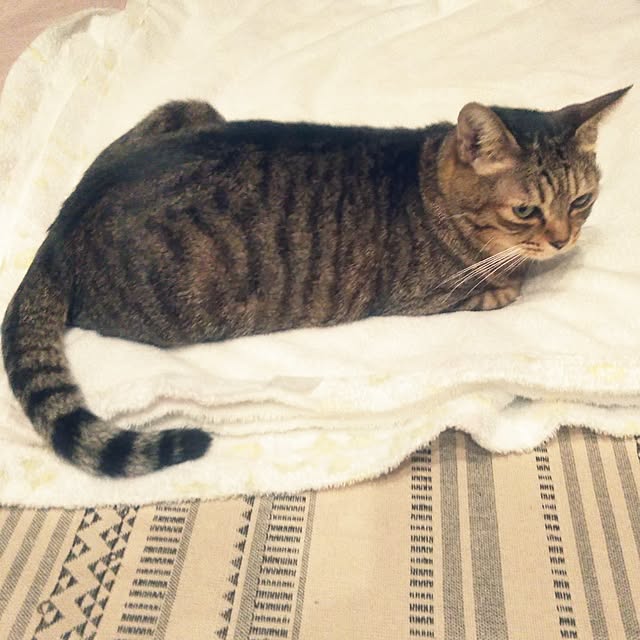 futukoさんの部屋
