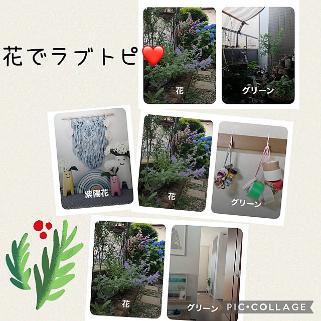 CoCo0617さんのお部屋の写真