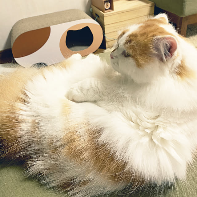 keiさんの実例写真