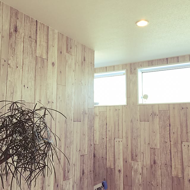 chiwawa420さんの実例写真
