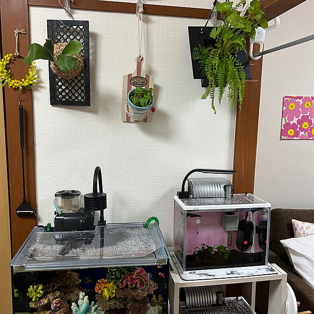 Saoriさんの部屋