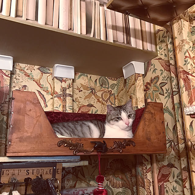 emmyyさんの実例写真
