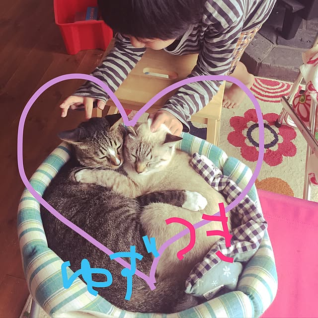 tsukiyuzuさんの実例写真