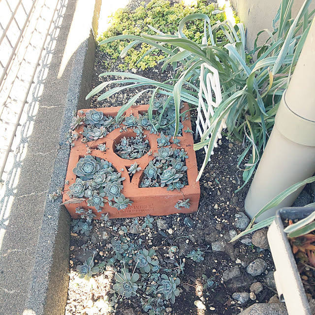 mmpoohさんの実例写真