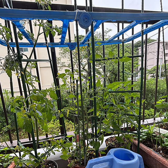 syutmmさんの部屋