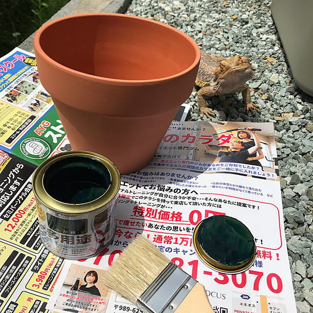 japitonさんの実例写真