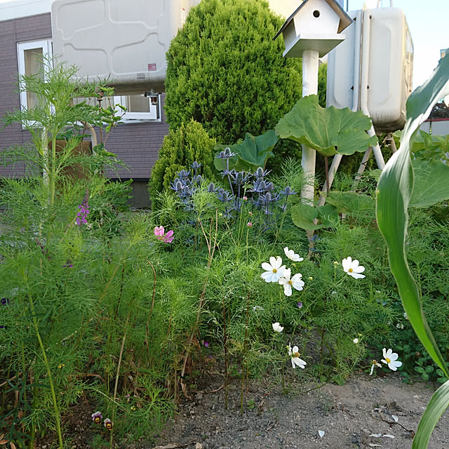 longneiさんの実例写真