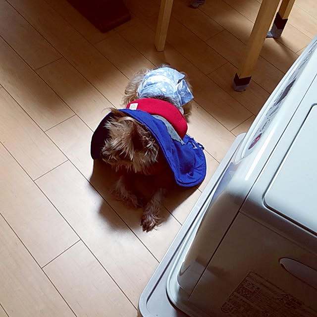 kiiiii-naさんの実例写真
