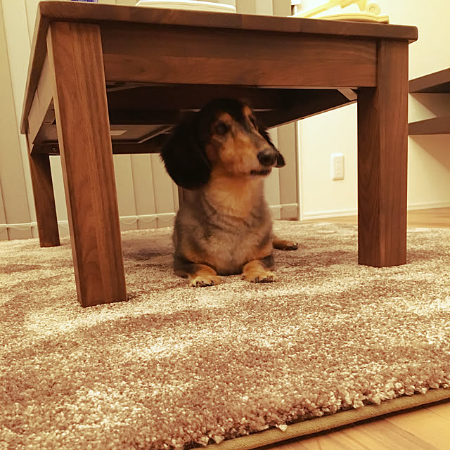 otsutaudonkoさんの実例写真