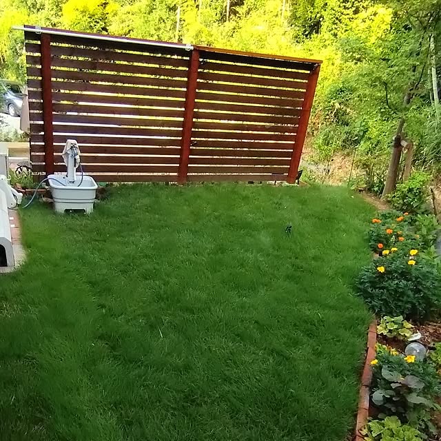 specialized_roubaixさんの実例写真