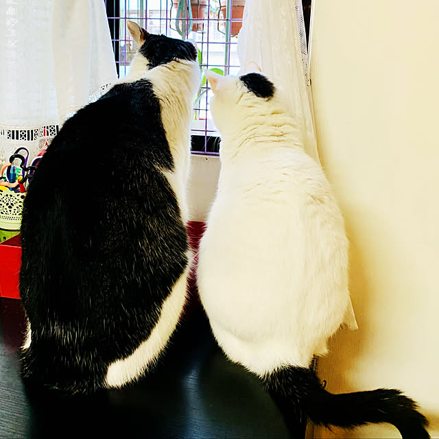 pcu110さんの実例写真