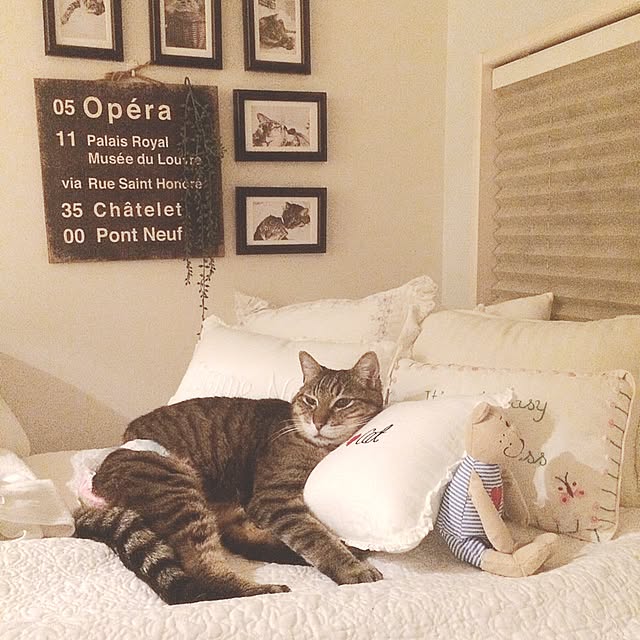 lovecatさんの実例写真