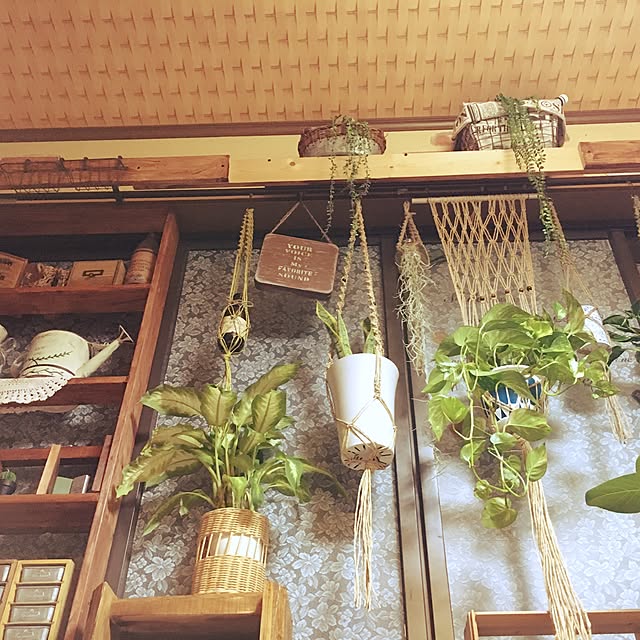 korokoroさんの実例写真