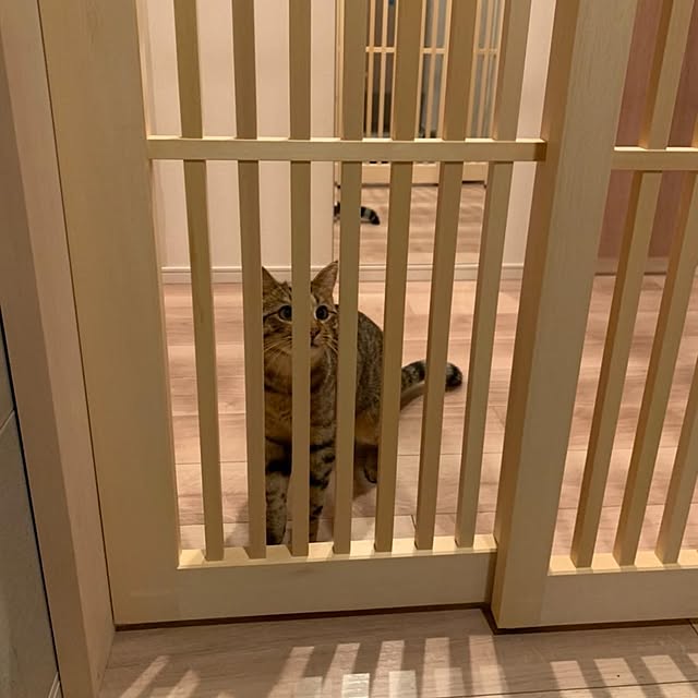 nekodoorshopさんの実例写真