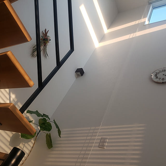 miniさんの実例写真
