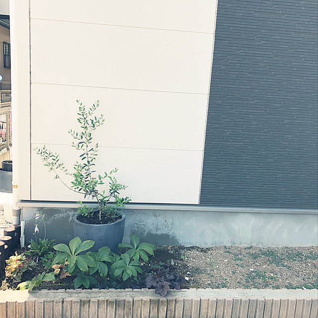 ___.homeさんの実例写真