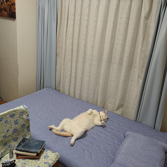 NOAHさんの実例写真
