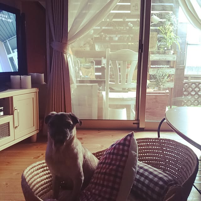 gurikoさんの実例写真
