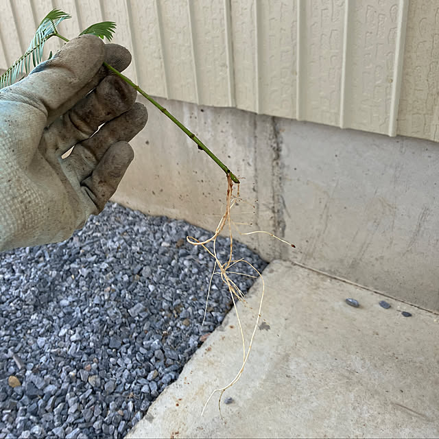 pokowheeさんの部屋