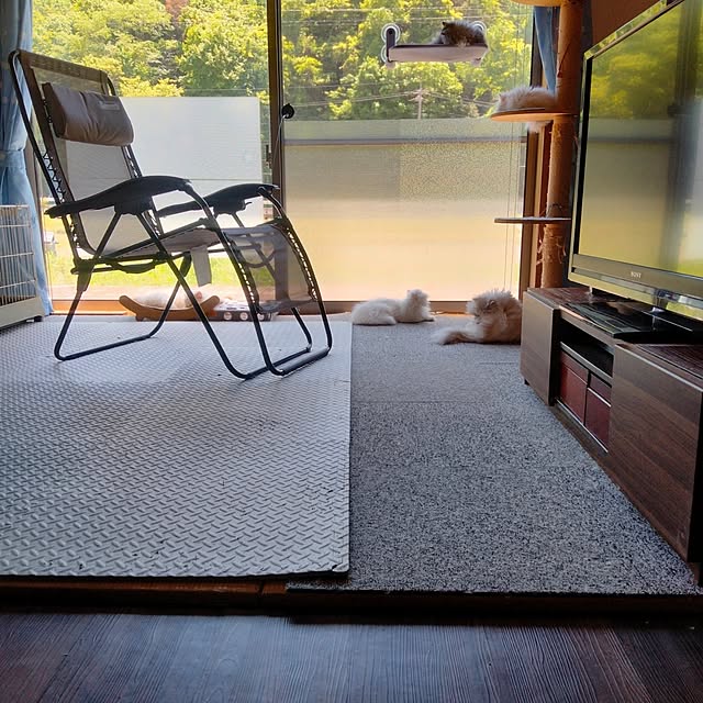 makaronさんの部屋