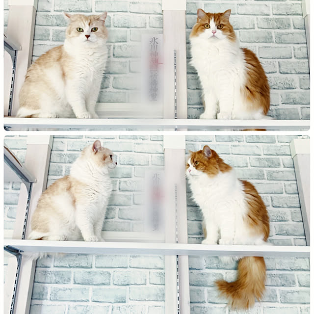 H.Tさんの実例写真
