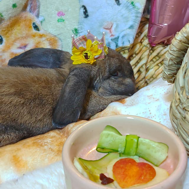 mariaさんの実例写真